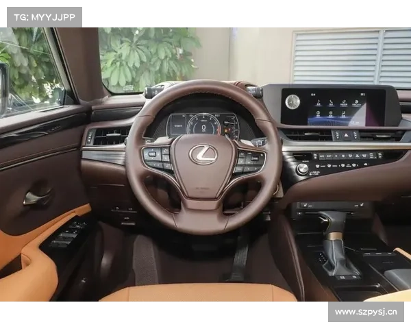 全新雷克萨斯ES内饰，还没国产，就开始讨好了